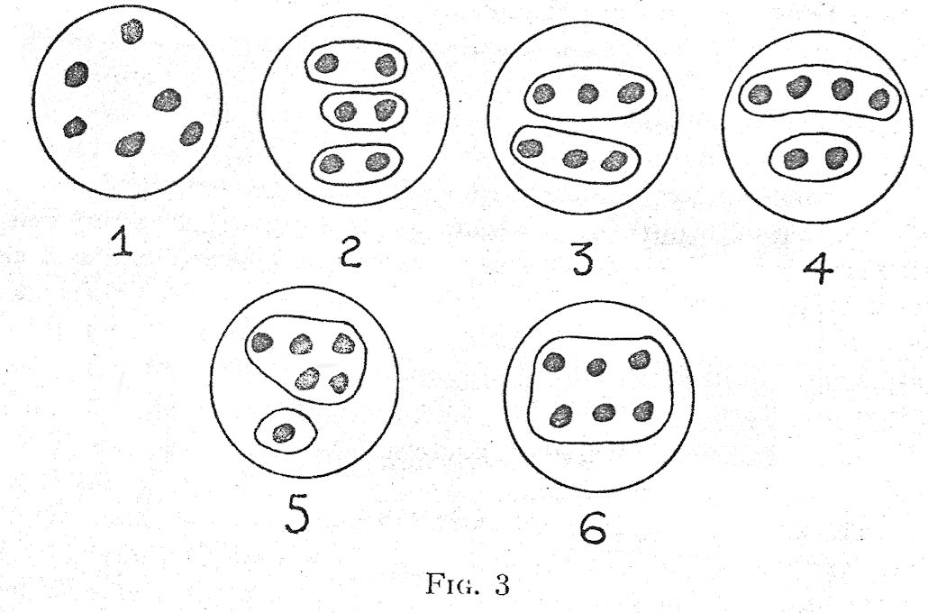 Figure 3 Game of Ige
