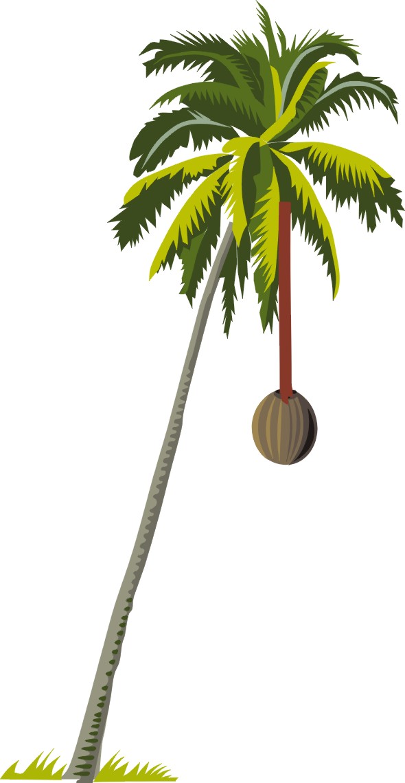 Coconut Treet